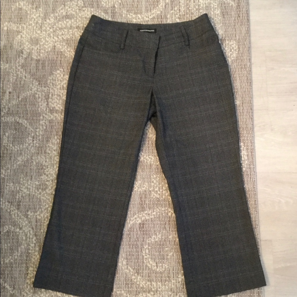 Express Design Studio Editor Cropped Pants